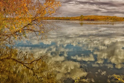 A picture of a pond with many wild geese and the reflection of the clouds