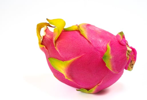 Dragon fruit isolted on white background, Hylocercus undatus (Haw) Brit. & Rose.
