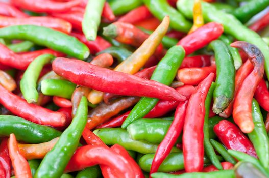 this picture is a group of Chilli