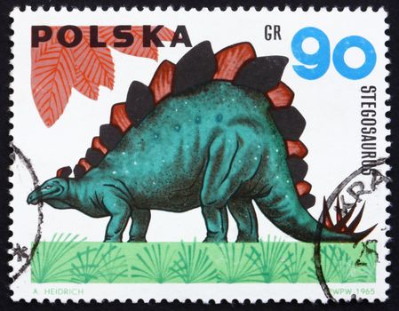 POLAND - CIRCA 1965: a stamp printed in the Poland shows Stegosaurus, Dinosaur, circa 1965