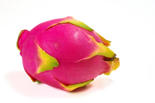 Dragon fruit isolted on white background, Hylocercus undatus (Haw) Brit. & Rose.