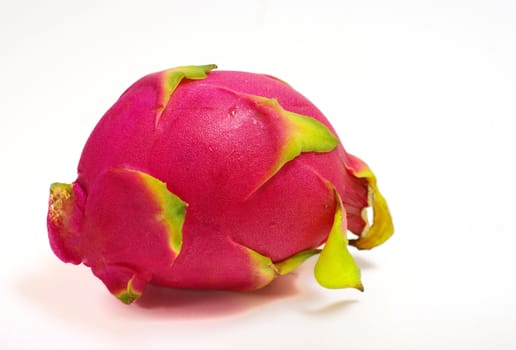Dragon fruit isolted on white background, Hylocercus undatus (Haw) Brit. & Rose.