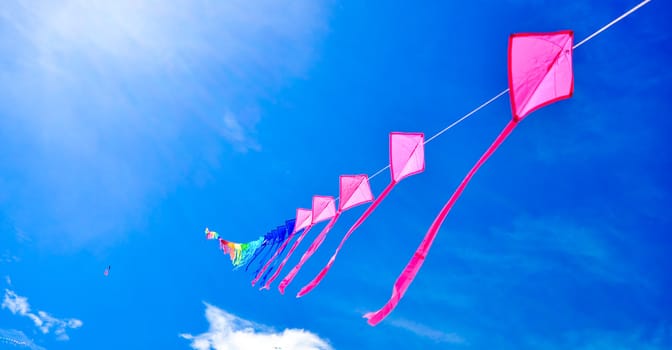 colorful of kites in the blue sky