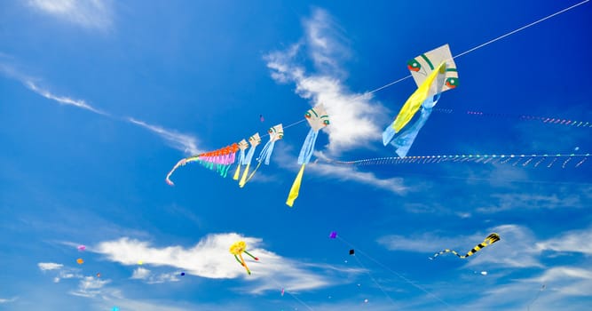 colorful of kites in the blue sky