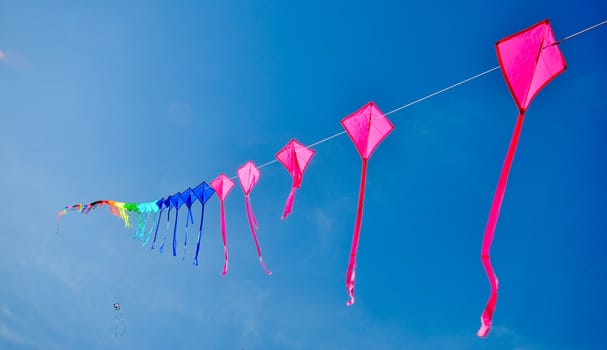 colorful of kites in the blue sky
