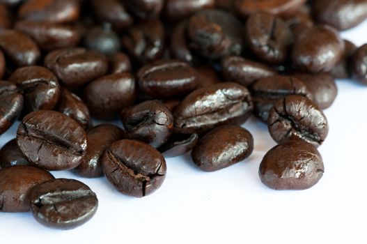 coffee beans on white background 