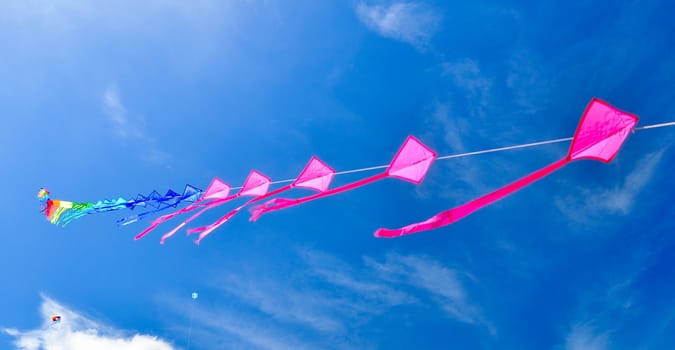colorful of kites in the blue sky