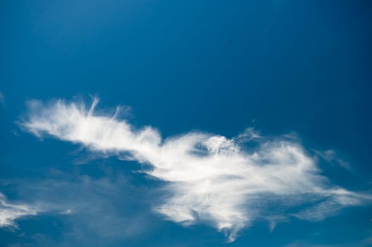 	
landscape of Blue sky and white cloud