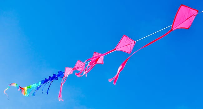 colorful of kites in the blue sky