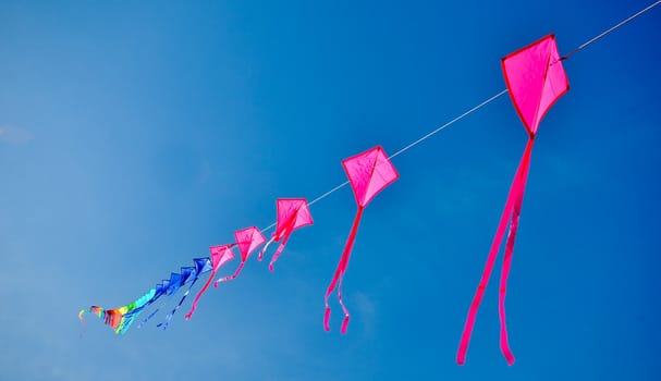 colorful of kites in the blue sky