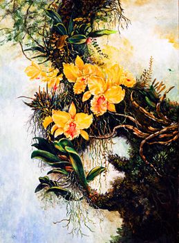 Original oil painting on canvas - yellow forest orchids