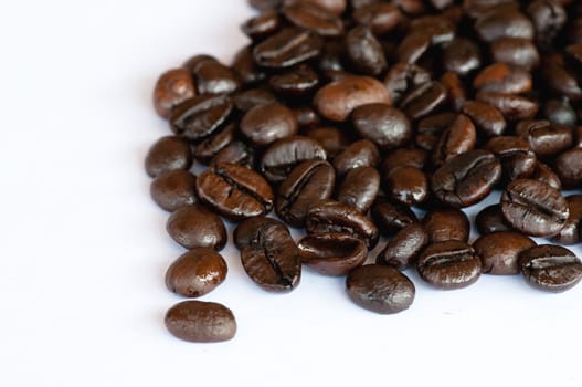 coffee beans on white background 