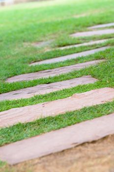 the brick way on green grass