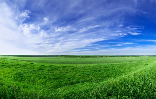 Spring or summer sunny day landscape