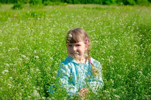 Little smiling girl on weadow