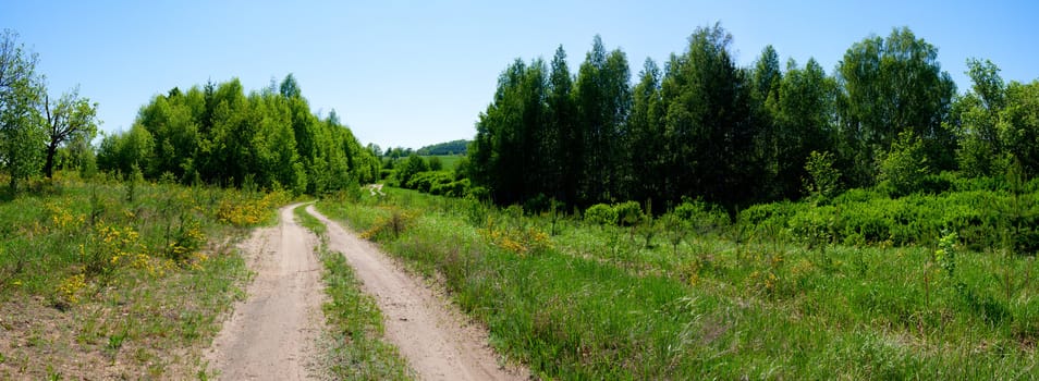 Old twisting road to wood