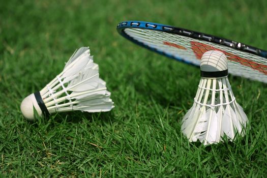 two shuttlecocks and badminton racket lying on the grass