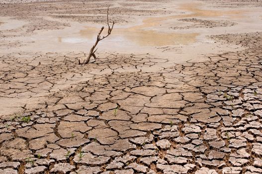 dry earth in the dry season in Thailand