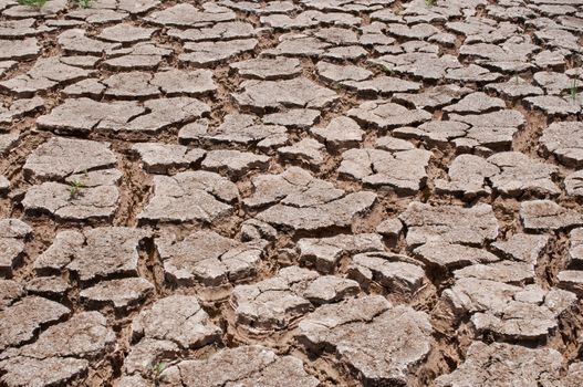 dry earth in the dry season in Thailand