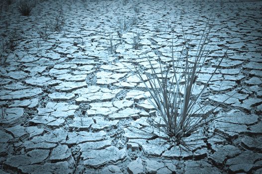 dry earth in the dry season in Thailand