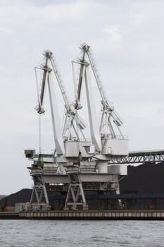 White lifting cranes in a port