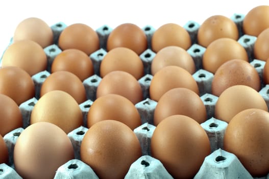 close-up eggs in the package 