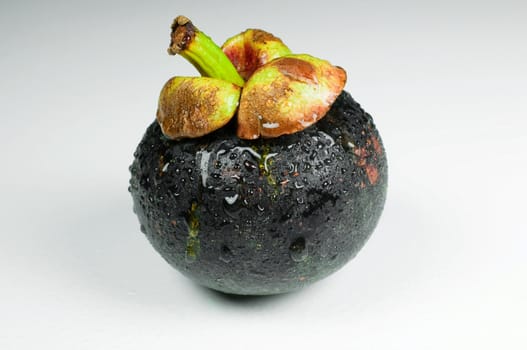 mangosteen on white background