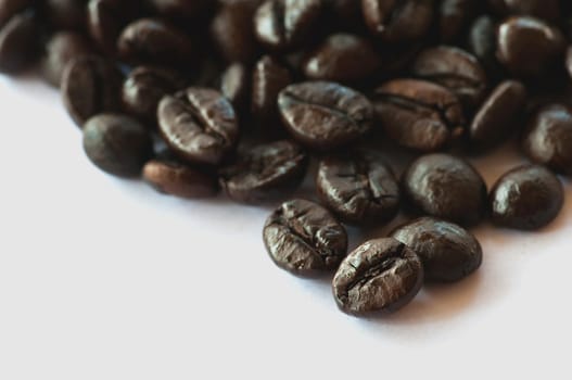 coffee beans on white background 