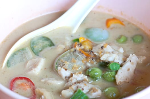 dish of Thai Food, green Curry fish