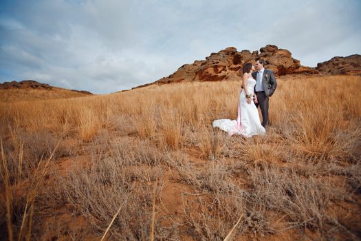 bride and groom in the field with mountain