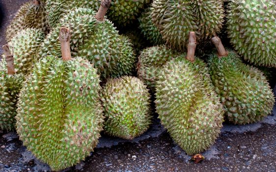group of durian fruit, Thai fruit