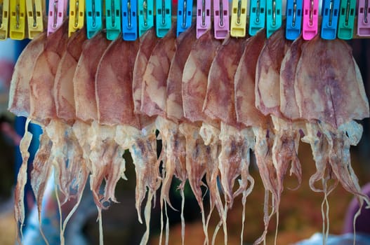 row of dry squid