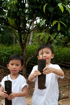 two asian boys are showing them young plant