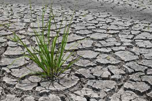 dry earth in the dry season in Thailand