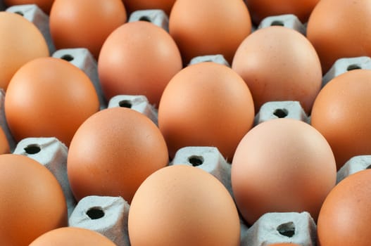 close-up eggs in the package 