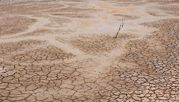 dry earth in the dry season in Thailand