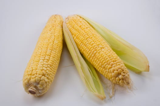 Fresh corn cobs on white background 