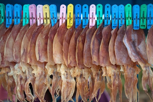 row of dry squid