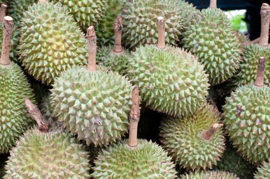 group of durian fruit, Thai fruit