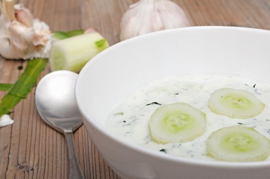 Tarator Appetizer - Cold Soup in White Bowl