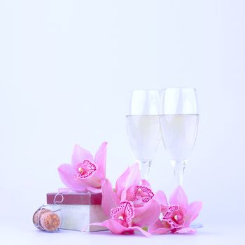 beautiful pink orchid against blue background