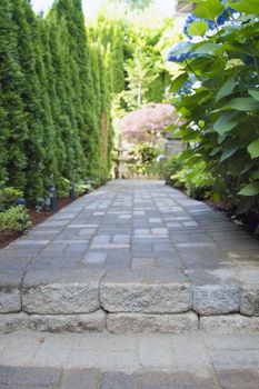 Garden Pavers Path Walkway with Landscaping Lights Leading to Backyard
