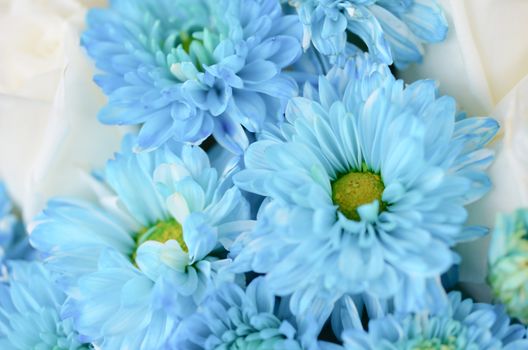 close-up of blue flower and white flower