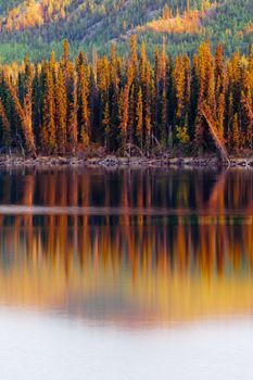 Warm sunset light reflections on calm surface of boreal forest wilderness pond, Twin Lakes, Yukon Territory, Canada