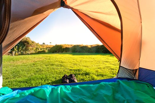 Looking out of open tent door upon green meadow and forest in morning sunshine