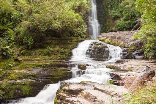 Rainforest jungle arround McLean Falls, The Catlins, South Island, New Zealand