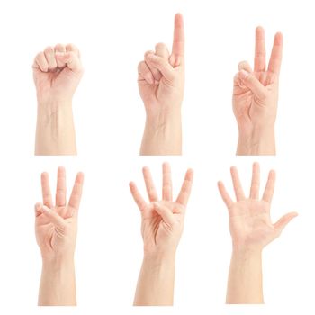 Counting man hands (0 to 5) isolated on white background