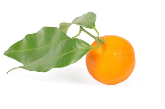 Tangerine with green leaves isolated on white