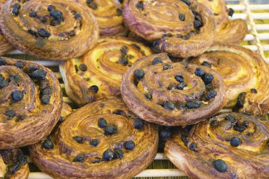 Fresh danish pastry with raisins on a tray