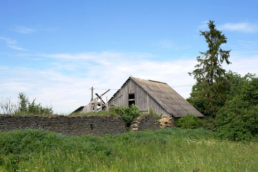 Old wooden shed and stone fence of a thricket a grass